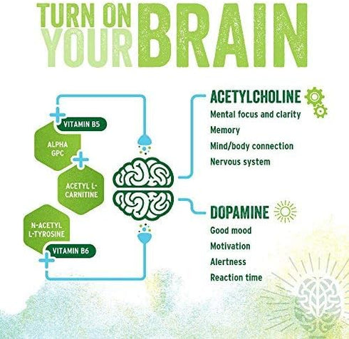 BrainJuice Nootropics Brain Support Supplement, Gluten Free Powder for Energy and Focus, 15 Servings