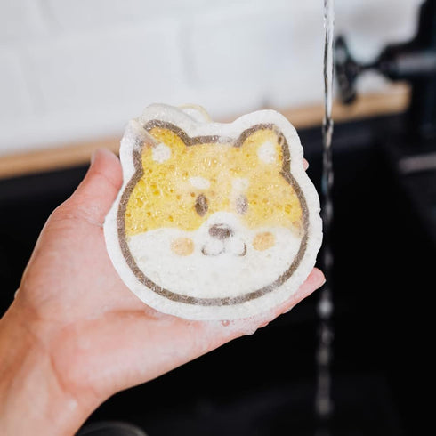 Smile Dog Compressed Cellulose Kitchen Sponges, 3 Counts Reusable Natural Cleaning Sponges for Household Cleaning