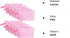 10 Pieces Pink Cotton Canvas Makeup Bag with Bottom and Strap, Multi-Purpose Cosmetic Bag with Zipper Travel Pouch