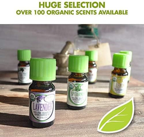 Healing Solutions Oils - 2 oz Sleep Essential Oils for Diffuser - Organic, Pure, Undiluted Dream Blends