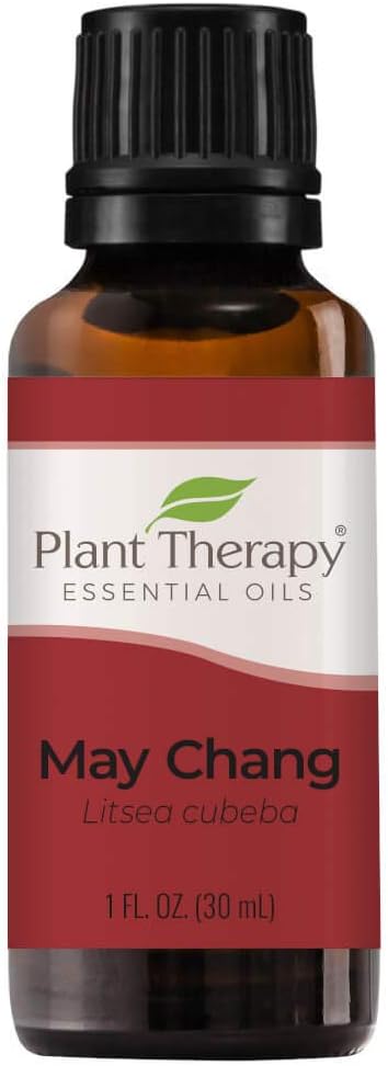 Plant Therapy May Chang (Litsea Cubeba) Essential Oil 30 mL (1 oz) 100% Pure, Therapeutic Grade