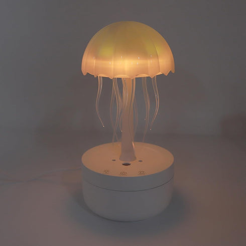 Hamwesh 30dB Humidifier, Silent Operation Essential Oil Diffuser, Cute Mini Humidifier with Rotating Lamp Head Colorful