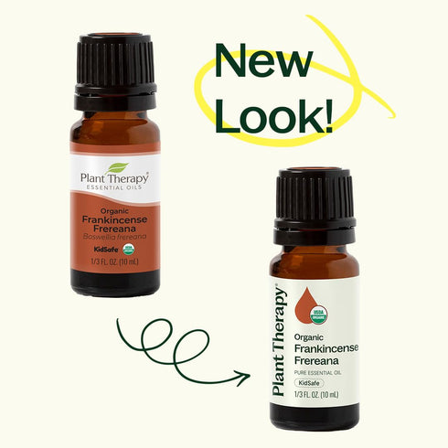 Plant Therapy Organic Frankincense Frereana Essential Oil, 100% Pure, 10 mL (1/3 oz)