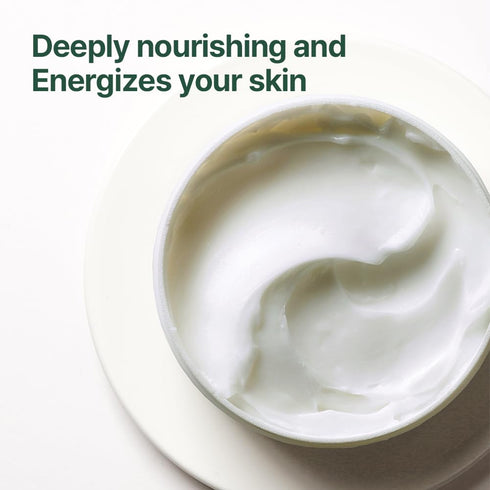 Pyunkang Yul PKY Calming Moisture Repair Balm, Vegan Face Moisturizer for Sensitive Skin, 1.01 Fl.Oz