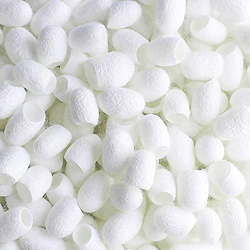 TTSAM 100pcs Fresh Natural Silk Ball Cocoons for Facial Cleanser and Skin Care Scrub