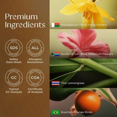 Set Set 2x10ml Breathe Essential Oil for Humidifier Cleaner & Stress Relief Essential Oil for Calming - Aromatherapy
