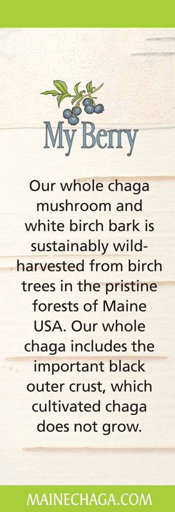 Maine Chaga Mushroom & Birch Bark Extract Liquid - 2oz, Wild Harvested & Double Extracted