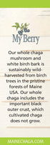 Maine Chaga Mushroom & Birch Bark Extract Liquid - 2oz, Wild Harvested & Double Extracted