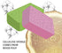 Cellulose Large Sponges for Cleaning, Pack of 3 Multi-use Scrub for Car, Boat and Kitchen, Yellow, Environmentally Safe
