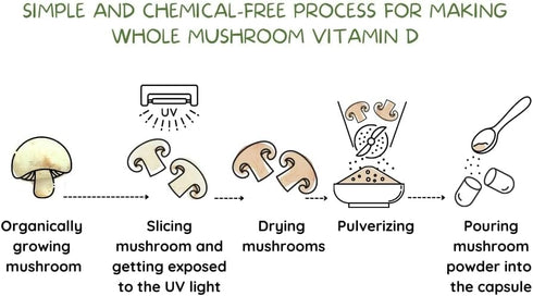 Organic Vegan Whole Food Vitamin D2, 2000 IU (50 mcg) (1)