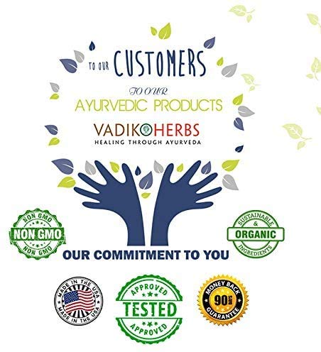 Vadik Herbs Amla Hair Oil (8 oz) | Herbal Scalp Treatment for Hair Loss