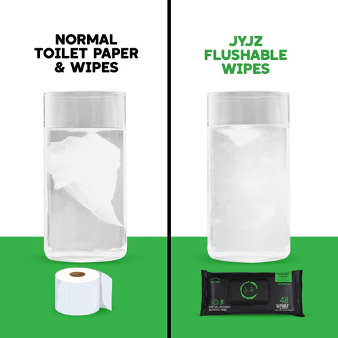 JYJZ 6 Pack (288 Flushable Wet Wipes, Wipes), New & Improved Spearmint Cooler, Disposable, Biodegradable, XL, Aloe