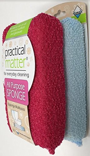 Cleanlogic Practical Matter Fiber Sponge, 2 Count for Effective Cleaning