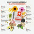 Noobru Shield with Vitamin C Powder and Ginger - Immune System Booster for Perfect Health, Vitamins Blend for Your