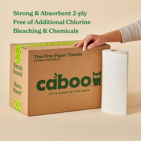 Caboo Tree Free Paper Towels, 6 Rolls, Eco Friendly, Sustainable Kitchen Paper Towels with Strong 2 Ply Sheets