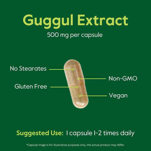 BESTVITE Guggul Extract 500mg, 120 Vegetarian Capsules, Patented and Standardized, Vegan, Non-GMO