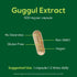 BESTVITE Guggul Extract 500mg, 120 Vegetarian Capsules, Patented and Standardized, Vegan, Non-GMO