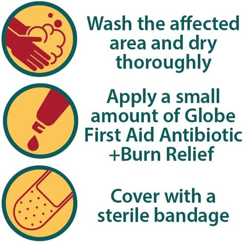 Globe {2 Oz) Dual Action Burn Relief & First-Aid Antibiotic Ointment for 24-Hour Infection Protection & Maximum Strength Burn Pain Relief, with Bacitracin Zinc, Neomycin, & Pramoxine HCL