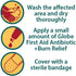 Globe {2 Oz) Dual Action Burn Relief & First-Aid Antibiotic Ointment for 24-Hour Infection Protection & Maximum Strength Burn Pain Relief, with Bacitracin Zinc, Neomycin, & Pramoxine HCL