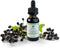 Organic Elderberry Tincture - Liquid Elderberry Drops for Immune Support, Respiratory Defense, 1oz - Ziggy Health