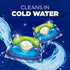 HAMMER 5-in-1 72 Count ARM & Plus OxiClean Stain Fighters: Laundry Detergent Power Paks, Fresh Scent