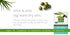 Kiss My Face Olive & Aloe Soap, 8.0 oz (230 g)