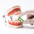 SNAWOP Dental Interproximal Strips, 10PC Orthodontic IPR/IR Strip System for Teeth Polishing Kit