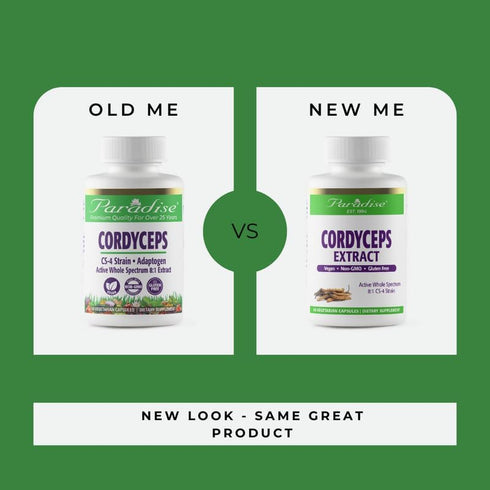 Paradise Herbs Cordyceps CS-4 Extract, Super Potent Vegan Antioxidant, Non-GMO, Gluten Free, 60 Capsules
