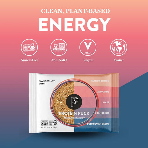 Protein Puck Vegan Plant Based Protein Bar, Natural Healthy Snack Bars, 12 Count, Gluten Free, Dairy Free, Kosher