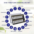 Set 100% 16 Pack 10ML Essential Oils with Independent Dropper, Natural Plant-Based, Therapeutic Grade for Family Use
