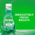 Scope 33.33 oz, Pack 2 Mouthwash Original Mint