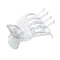 Parcelona French Basic Curved Paw Medium 3 1/4” Celluloid Acetate Hair Claw for Women and Girls, Clear