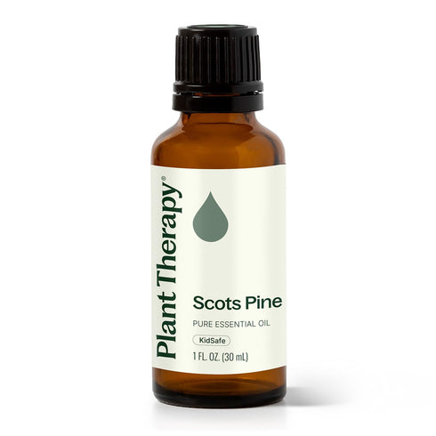 Plant Therapy Scots Pine Essential Oil 30 mL (1 oz) 100% Pure, Undiluted
