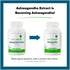 Seeking Health Ashwagandha Extract, 467 mg Natural Ashwagandha, 60 Capsules
