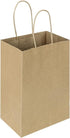 Oikss 100 Pack Small Plain Natural Paper Kraft Gift Bags, 5.25x3.25x8.25 Inch, Bulk for Birthday Party Favors