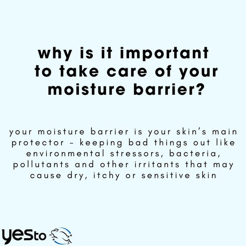 Yes To Intense Hydration Serum with Hyaluronic Acid, Avocado Oil, Vitamin B, Natural, Vegan & Cruelty Free, 0.95 Fl Oz