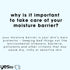 Yes To Intense Hydration Serum with Hyaluronic Acid, Avocado Oil, Vitamin B, Natural, Vegan & Cruelty Free, 0.95 Fl Oz