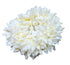 Traditional Indian Hair Accessories - White Gajra Artificial Flower Jewelry Veni Tiara for Women Party Wear