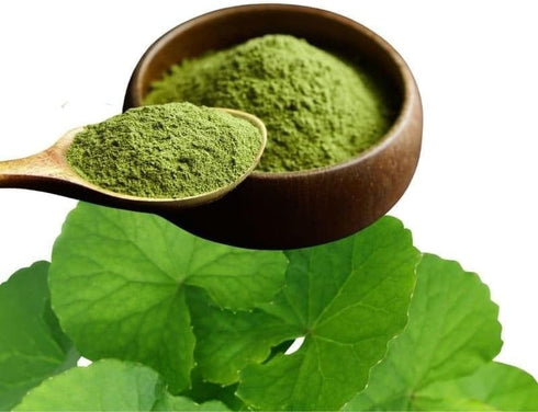 Orzanik (100 Brahmi Powder Centella Asiatica | GMS) - Ayurvedic Herb, Natural Hair Care