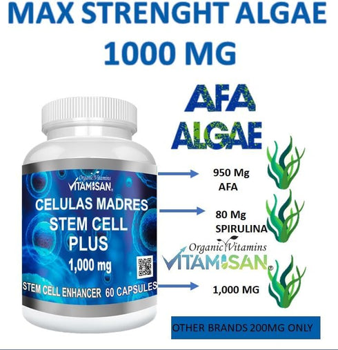 Celulas Madres 60 Capsules Vitamisan 1000 mg Aphanizomenon Flos-aquae Blue Green Algae AFA Stem Natural Cell