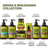 KISS Color & Care Shampoo for Dry and Damaged Natural Hair, Argan & Macadamia, 13.5 fl. oz