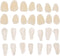 EXCEART Teeth Veneer 100 Pieces Artificial Resin Tooth Fillings, Temporary Tooth Replacements