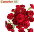 Carnation (Dianthus caryophyllus) Therapeutic Essential Oil by Salvia Amber Bottle 100% Natural Uncut Undiluted Pure Cold Pressed Aromatherapy Premium Oil - 15ML/ 0.5 fl oz