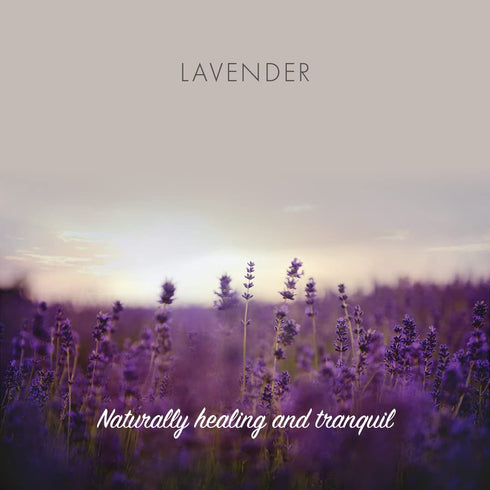 Natural Handmade Lavender Soap by Friendly Soap