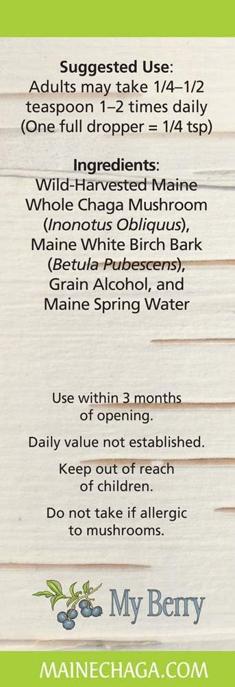 Maine Chaga Mushroom & Birch Bark Extract Liquid - 2oz, Wild Harvested & Double Extracted