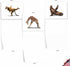 The Best Card Company - 20 Blank Yoga Animal Cards (4 x 5.12 Inch) - Kids Set (10 Designs, 2 Each) - Zoo Yoga