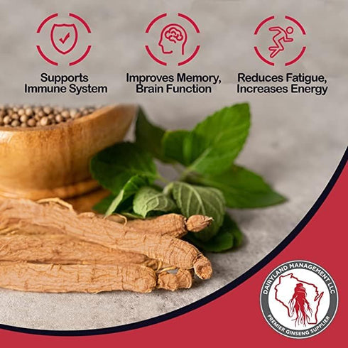 Dairyland Management Pure Panax Notoginseng Powder - 100% Natural Tienchi Powder for Smoothies, Teas, Herbal Remedies