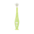 Dr. Talbot's 2-Piece Infant Toothbrush Training Set, Easy Grip Handle for 6+ Months