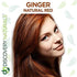 Red Henna Hair Color Kit | 100% All Natural Hair & Beard Dye Powder (Ginger Natural Red)