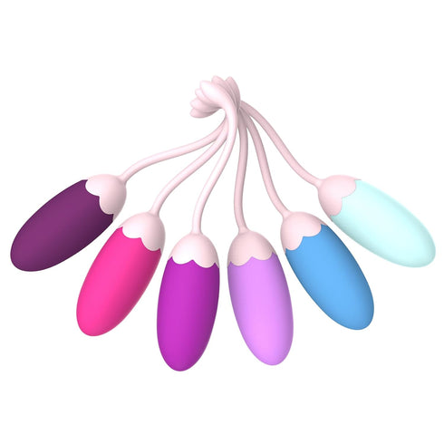 HONG KONG LANLI TECHNOLOGY CO., LIMITED FENHUA Kegel Exercise SystemPelvic Floor Strengthening- Set of 6 Premium Silicone Kegel